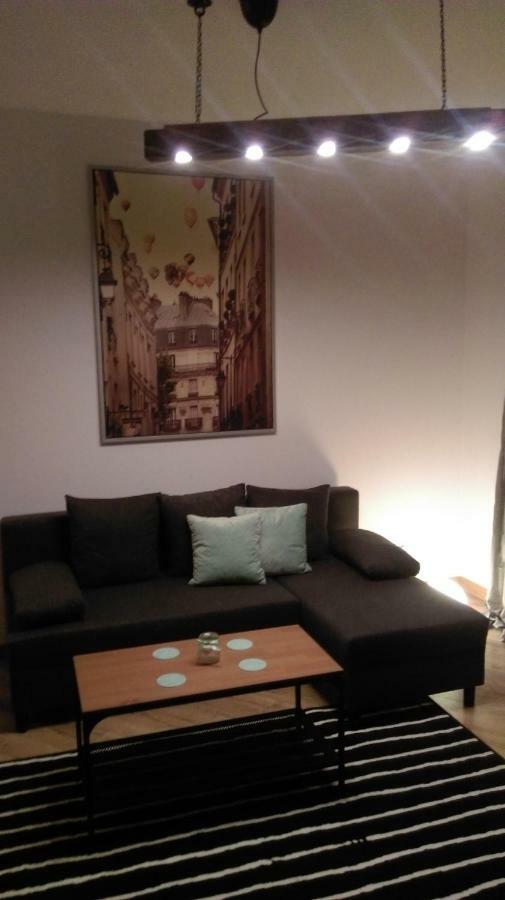 Mlynska2 Apartment Bielsko-Biala Bagian luar foto